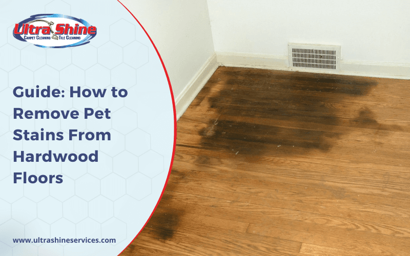 Guide How To Remove Pet Stains From Hardwood Floors